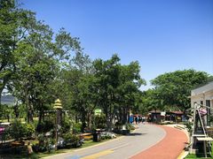 -上海长兴岛郊野公园