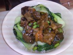 红焖仔排饭-咬不得高祖生煎·简餐(高银街店)