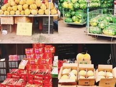 -双福水果批发市场