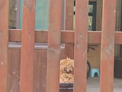 -锦上中式酒馆(南内环店)