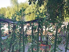 -尚庄度假村·庭台树下·户外烧烤·团建CS·轰趴营地(上庄水库店)