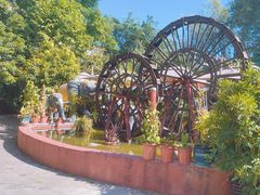 -品德宏·孔雀宴的发源地(金塔园店)