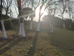 -太子山公园(园东路)