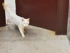 -西安大兴善寺