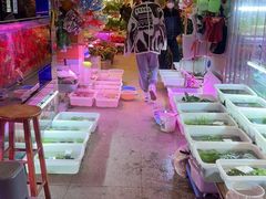 -双季花艺园艺市场(浦东店)