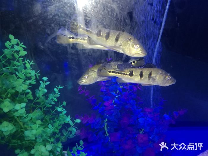 欧亚达商业广场(红桥店)图片