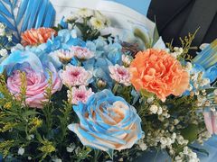 -上海星瀚奔驰4S店(红柳路店)