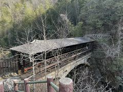 -祁门牯牛降观音堂风景区