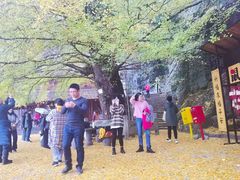-大慈岩风景区