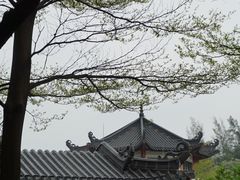 -广东花都湖国家湿地公园