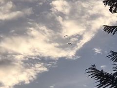 -白鹭湾湿地公园