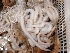 -盒马渔市(平高企业集团·平高广场店)
