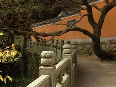 -普陀山风景区-佛顶山