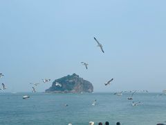 -棒棰岛宾馆景区