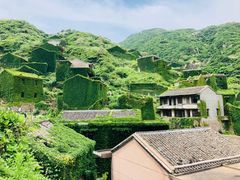 -枸杞岛
