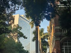 -广州白天鹅宾馆