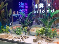 -海柜涮烤一体自助餐厅(金鹰店)