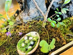 -曲廊院(东四十一条店)