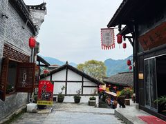 -后柳水乡