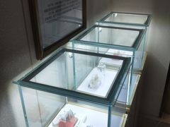 -团圆口腔·种植中心(锦江院区)