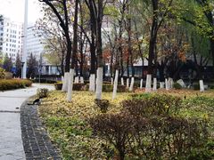 -长白岛森林公园