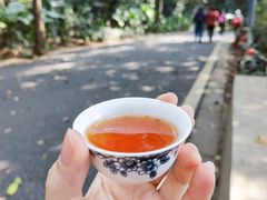 -广州市白云山风景名胜区