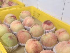 -老袁家蜜桃农场·阳山水蜜桃