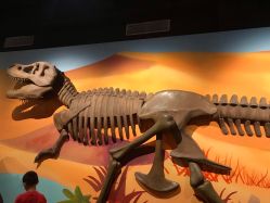 -北京科学中心儿童乐园