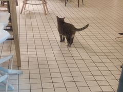 -ID.PHOTO照相馆(嘉里企业中心店)