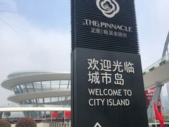 -梅溪湖城市岛