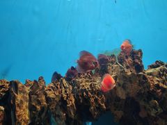 -海合安武汉极地海洋公园