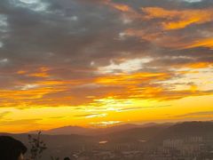 -长虫山生态公园风景林
