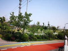 -上海长兴岛郊野公园