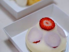 -猫里有甜