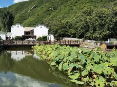 -荷塘味道(水长城店)