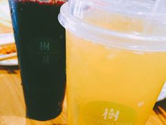 -树夏(建设路店)