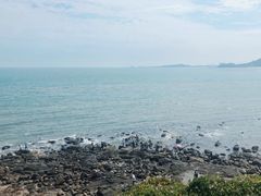 -漳州滨海火山岛自然生态风景区