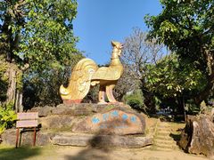 -云南勐巴娜西珍奇园