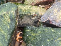 -青岛第三海水浴场