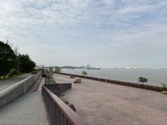 -上海滨江森林公园