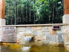 -长白山万达喜来登度假酒店