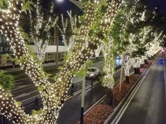 -赞记龙凤礼饼(广州市二宫向群宾馆店)
