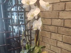 -鸢飞潍坊菜馆(鸢飞大酒店)