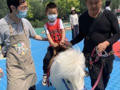 -123育儿园(百子湾校区)