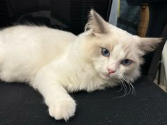 -猫遇摄影工作室