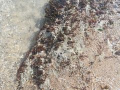 -白沙湾海滩