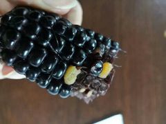 -鸿港海鲜批发市场