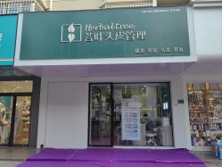 -菩叶脱发白发中心