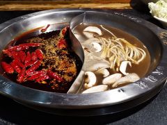 -大龙燚火锅(春熙店)