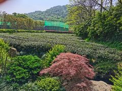 -中国茶叶博物馆(双峰馆区)